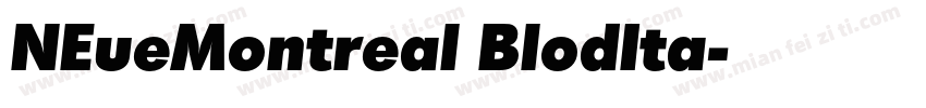 NEueMontreal BlodIta字体转换